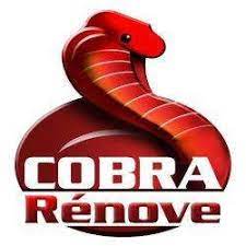logo de l'entreprise Cobra rénove